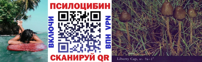 Купить закладки  Слободской  Галлюциногенные грибы мухоморы 